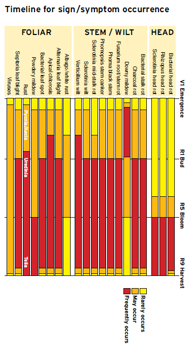 Timeline for sign/symptom occurrence