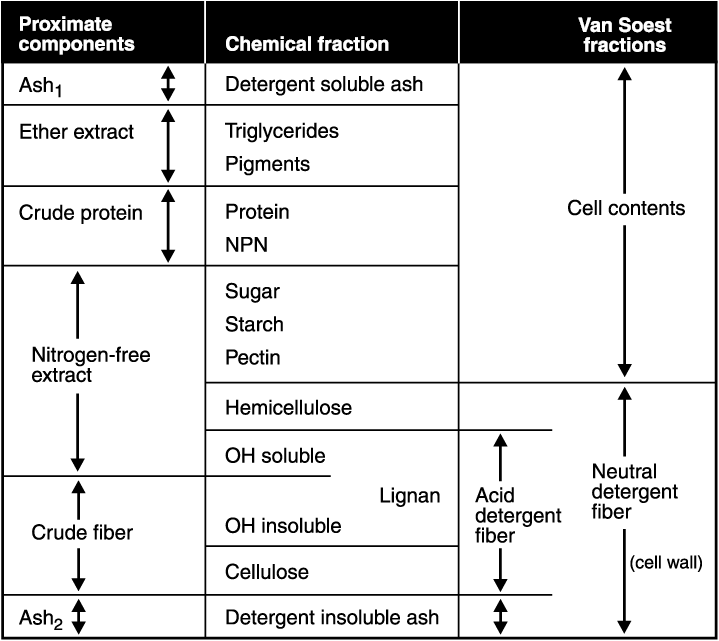 Figure 2. Fractions of feed dry matter.