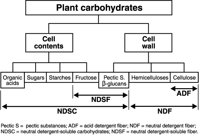 Figure 4. Carbohydrate composition of chemically analyzed fractions.