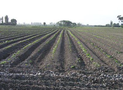 Planter not lined up.