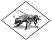 Honey bee icon