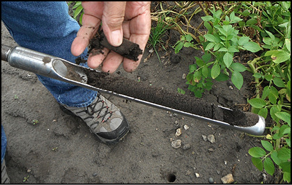 Testing soil moisture in the top 6 inches with a soil probe. 