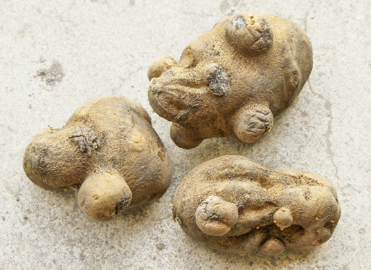 Figure 11