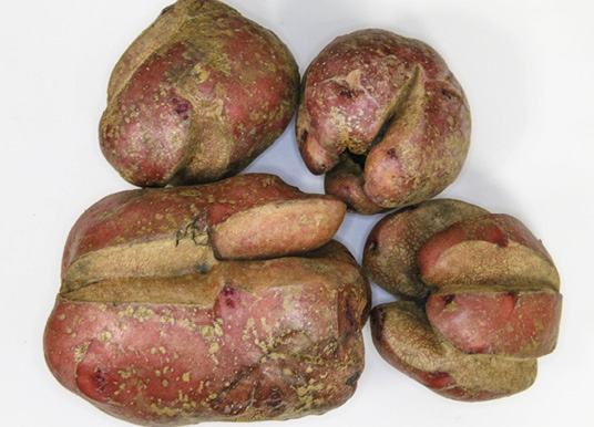 Figure 9