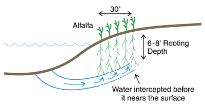 Figure 2b