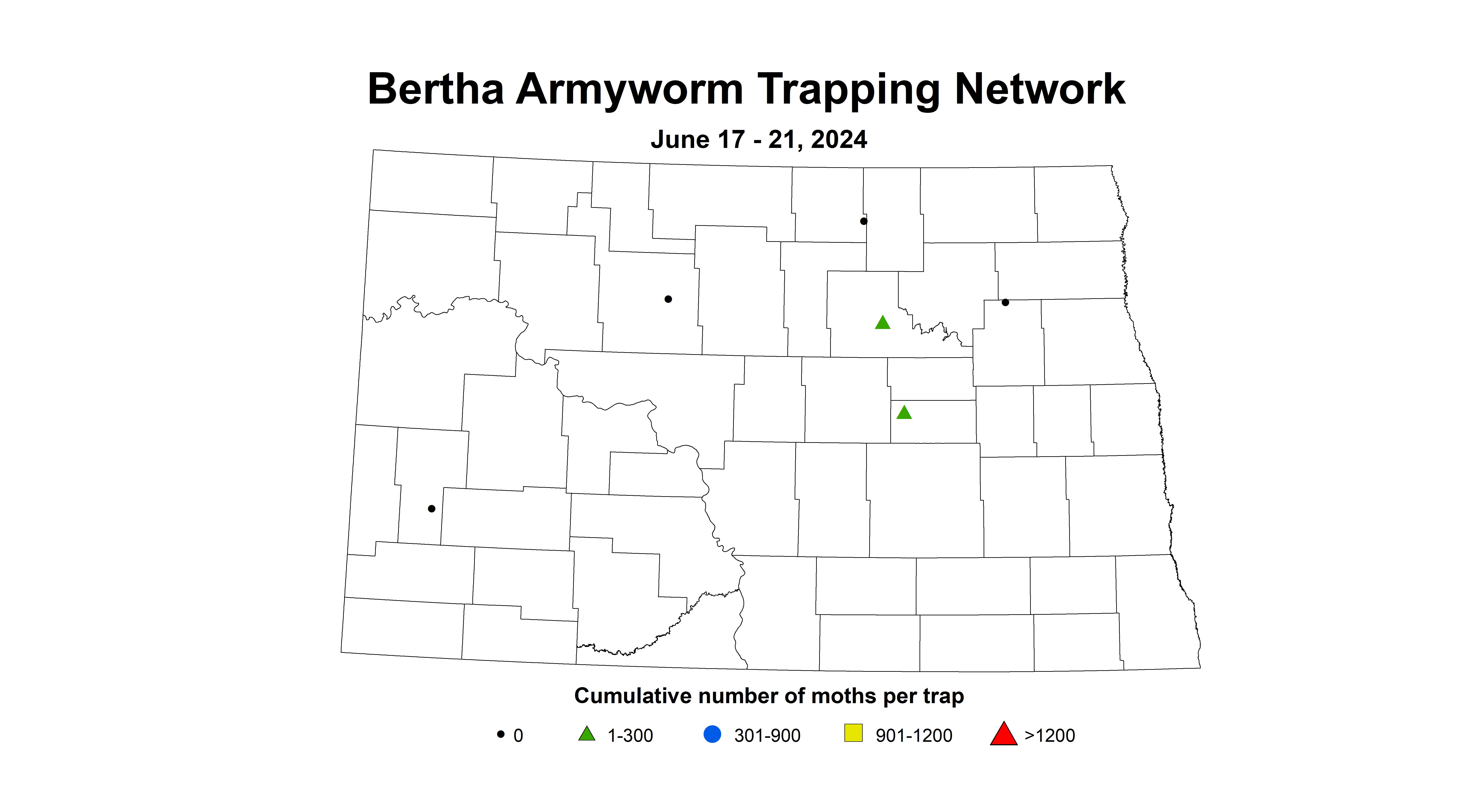 canola bertha armyworm 6.17-6.21 2024