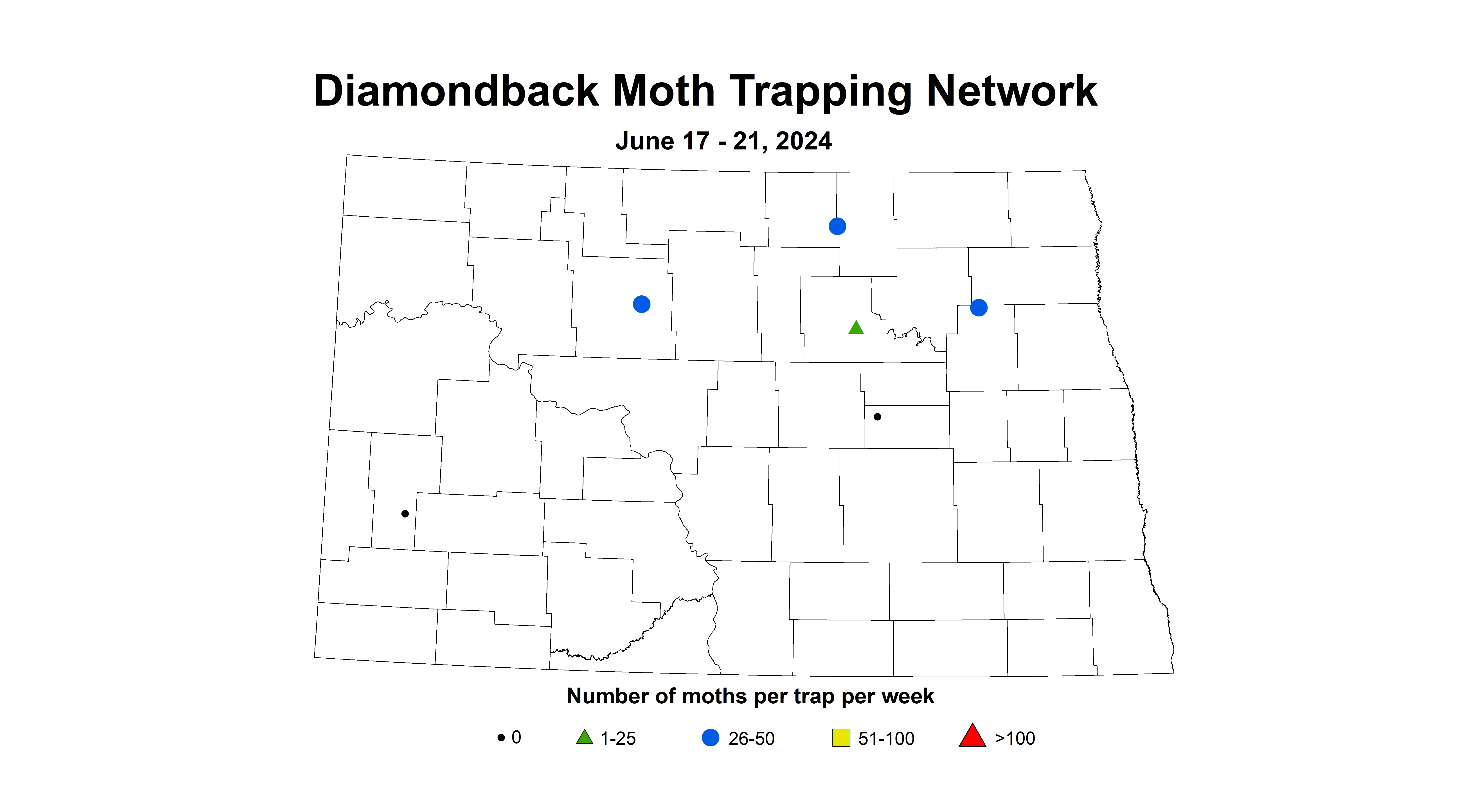 canola diamondback moth 6.17-6.21 2024