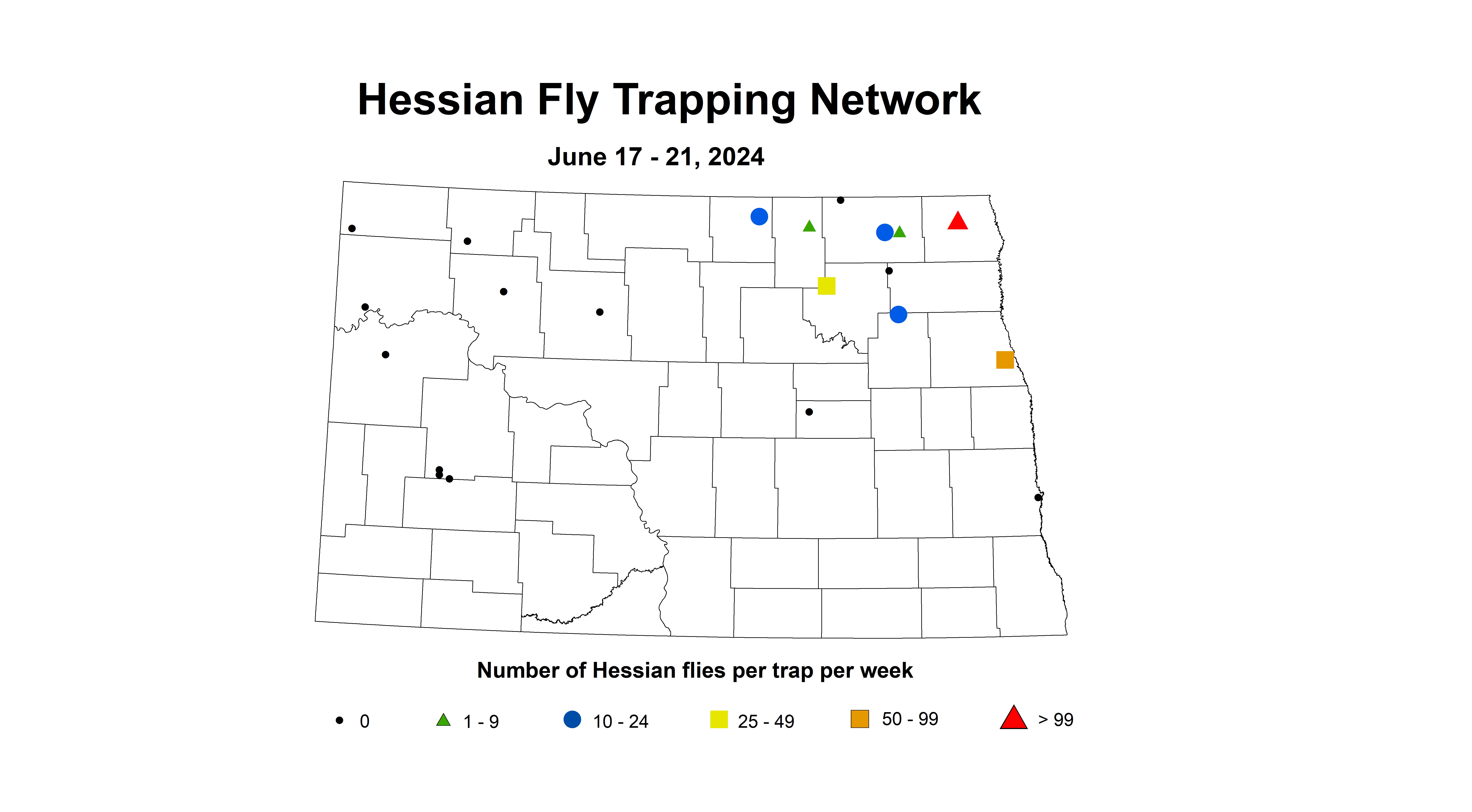 wheat insect hessian fly 6.17-6.21 2024