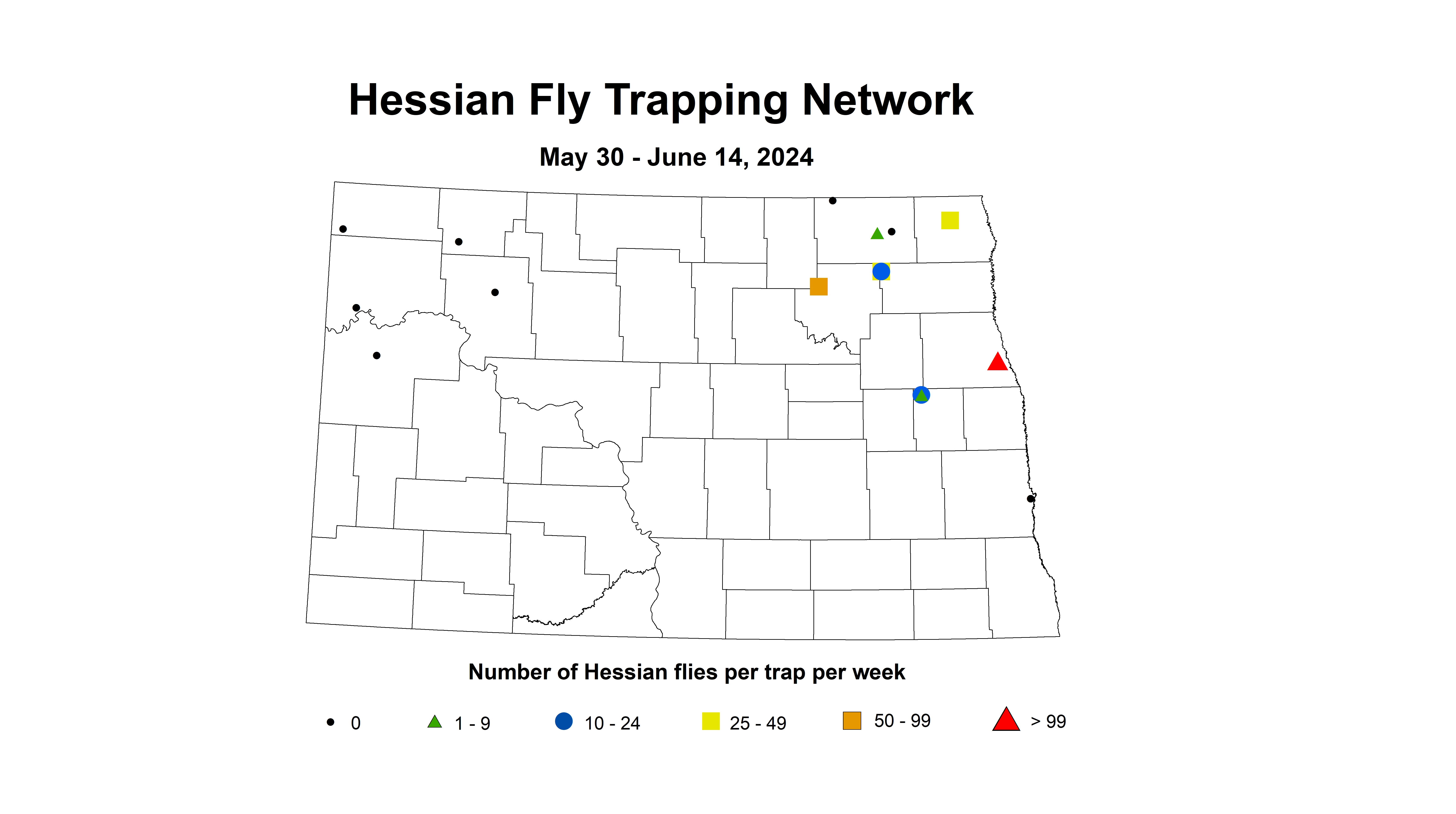 wheat insect trap hessian fly 5.30-6.14 2024