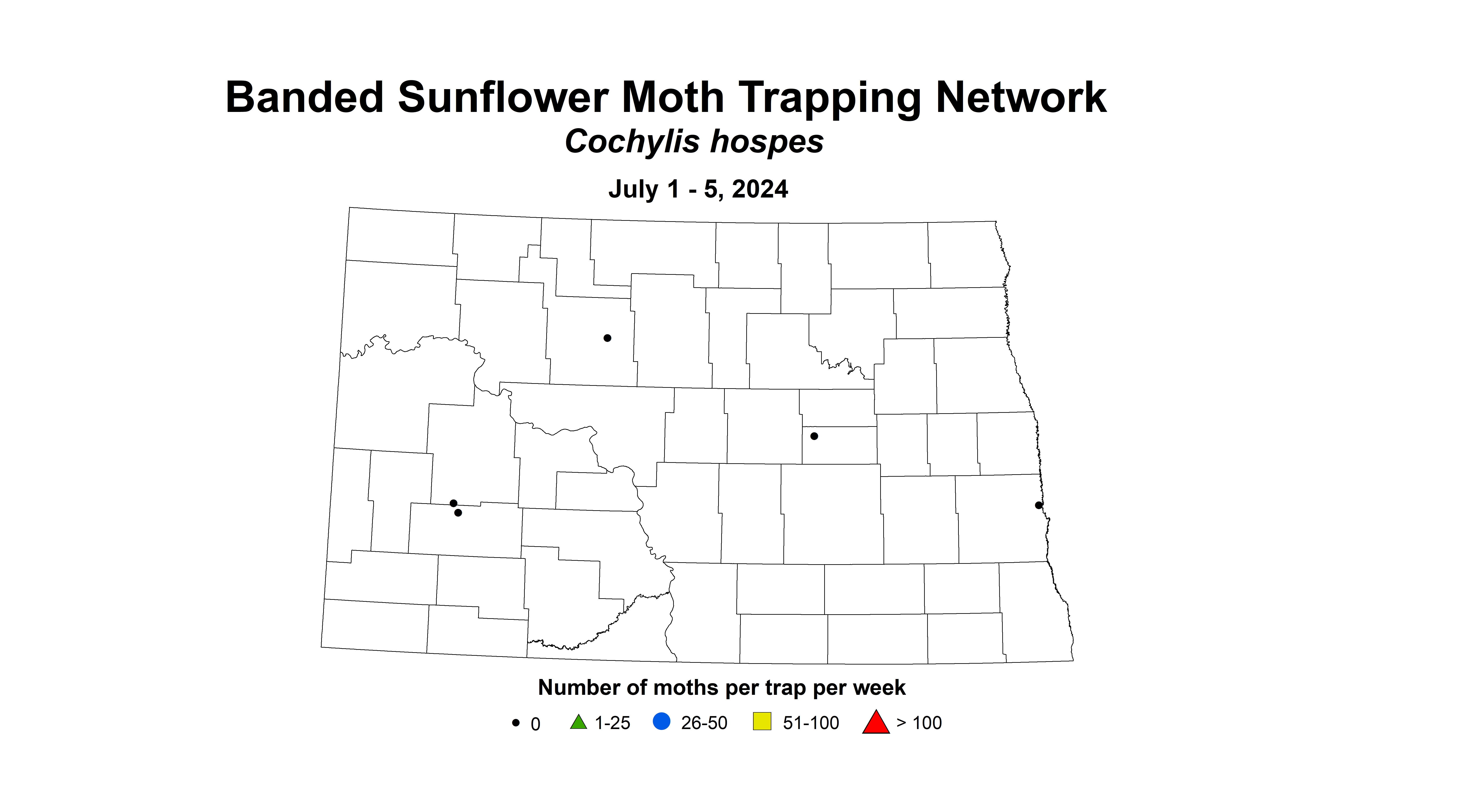 banded sunflower moth July 1 - 5 2024