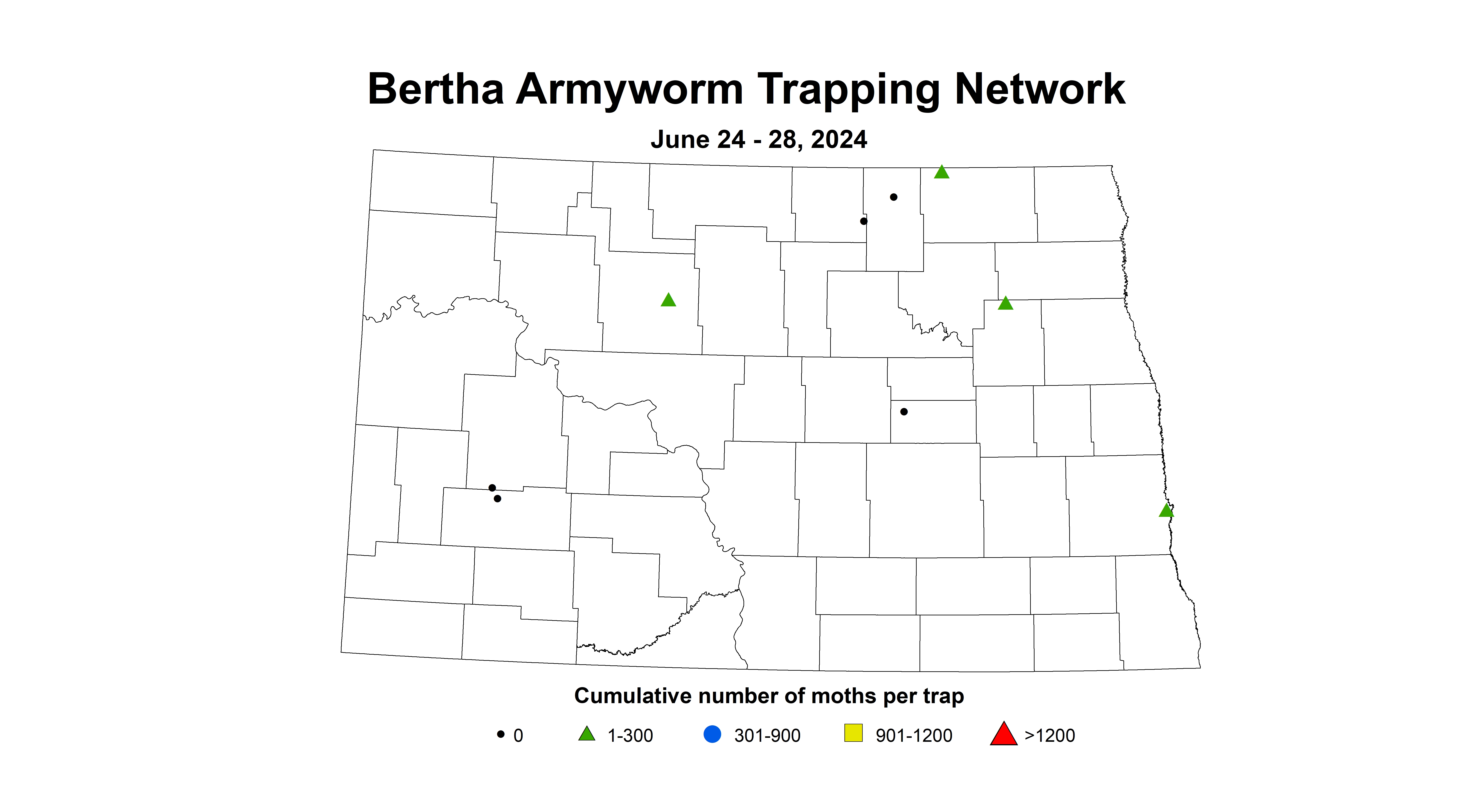 canola bertha armyworm 6.24-6.28 2024