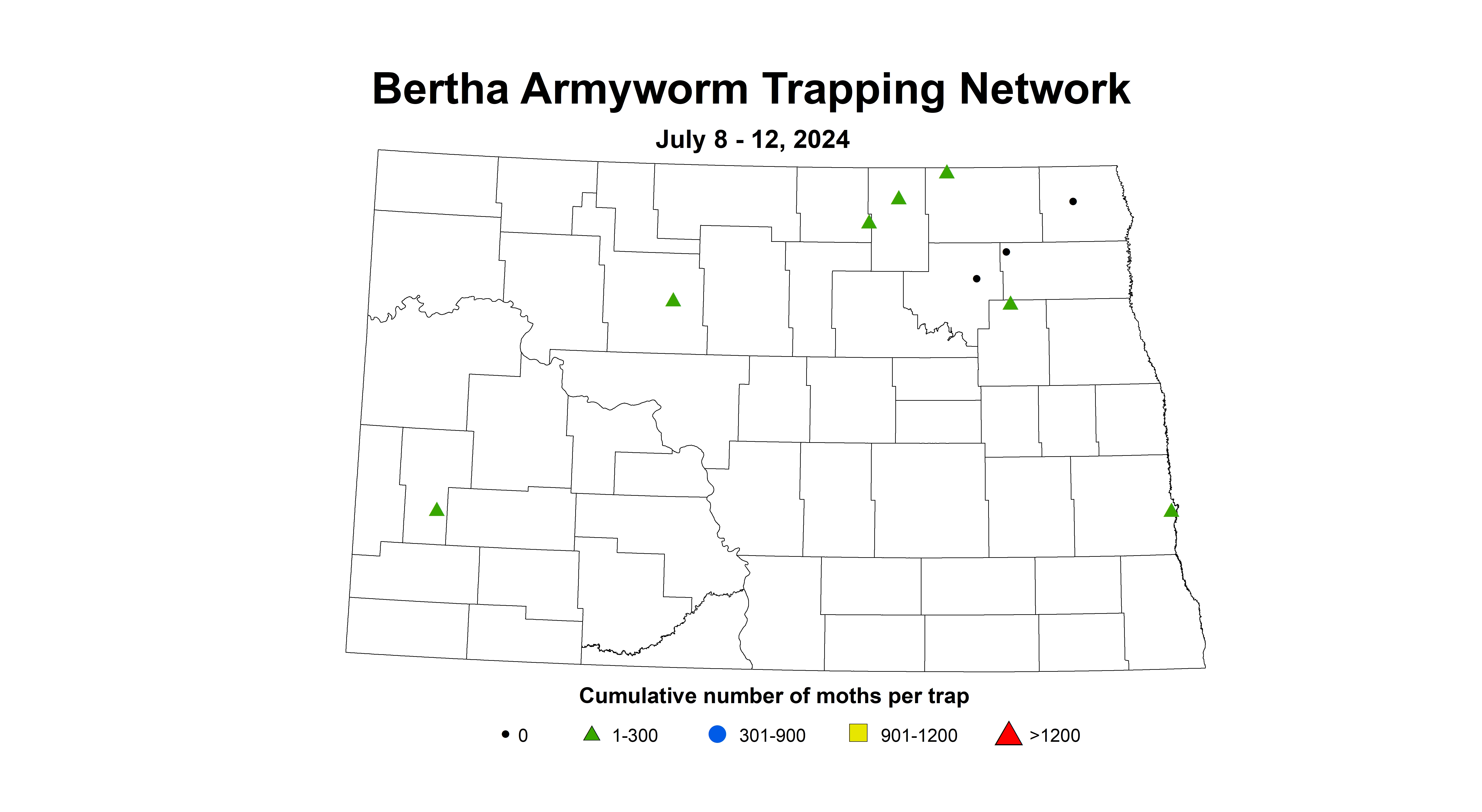 canola bertha armyworm 7.8-7.12 2024