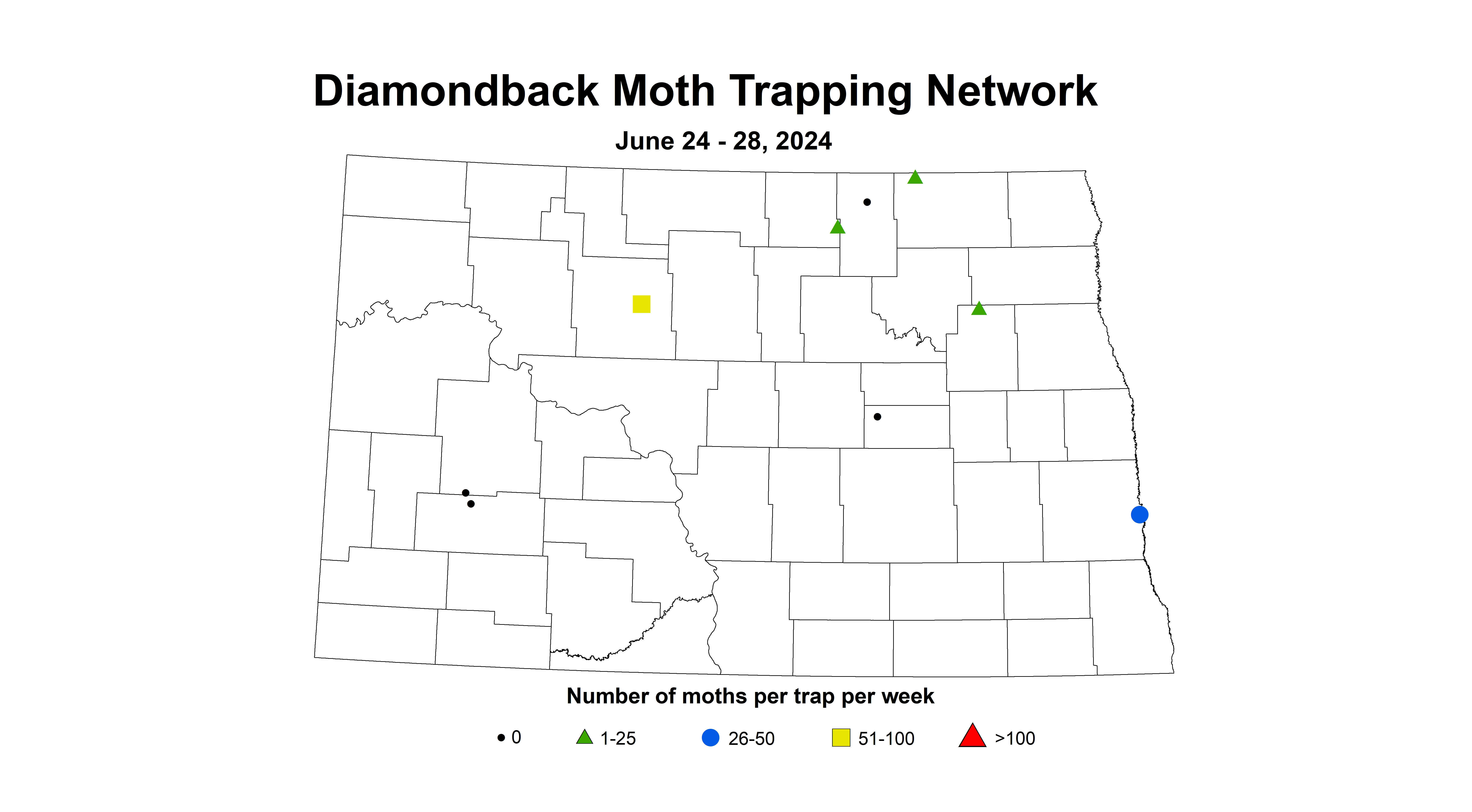 canola diamondback moth 6.24-6.28 2024