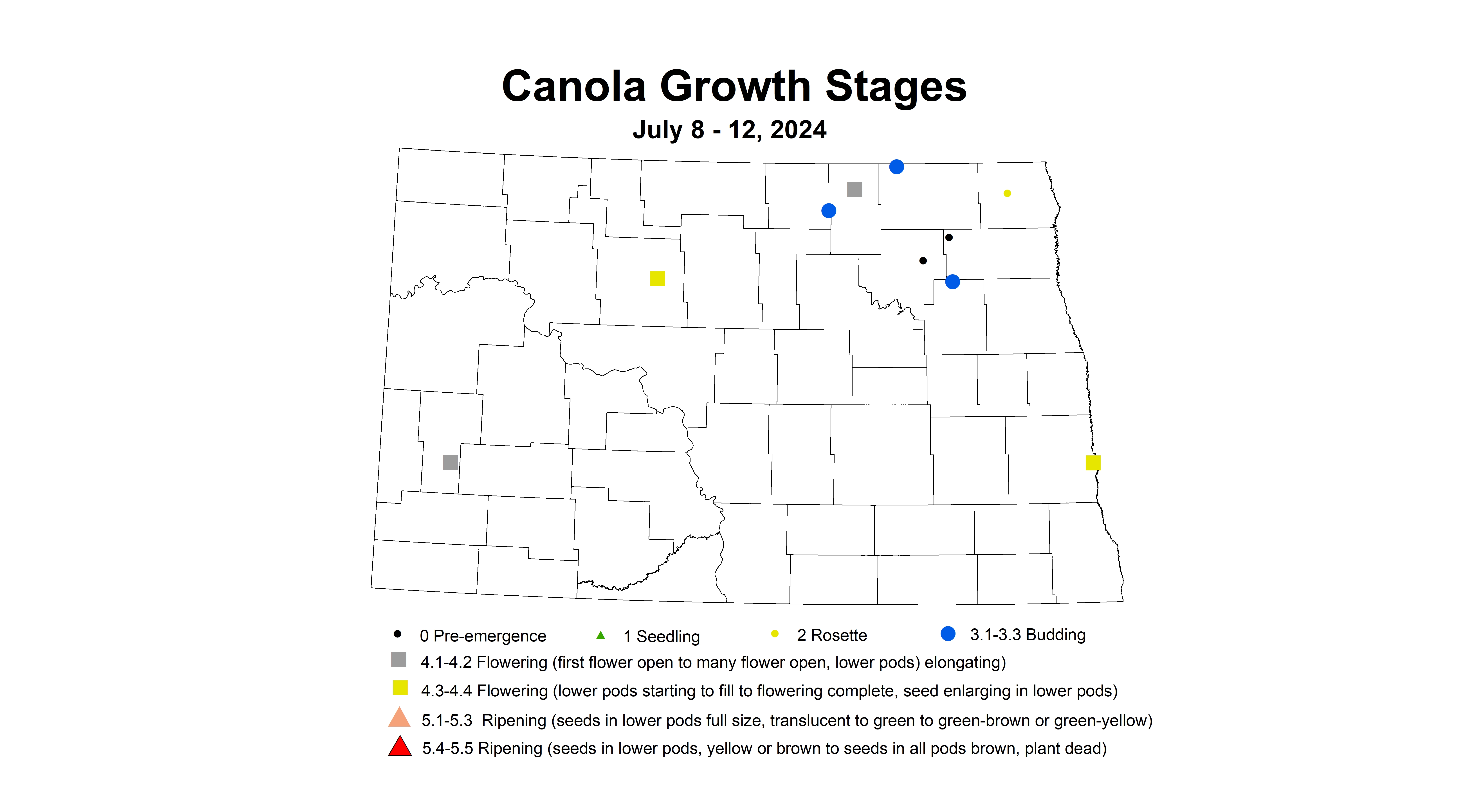 canola growth stages 7.8-7.12 2024