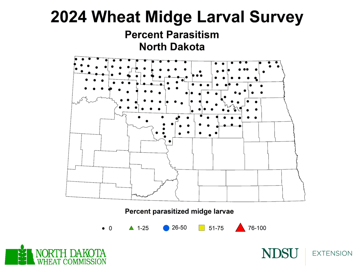 Map of ND showing percent parasitized midge larvae mostly in the northern 2/3 of the state