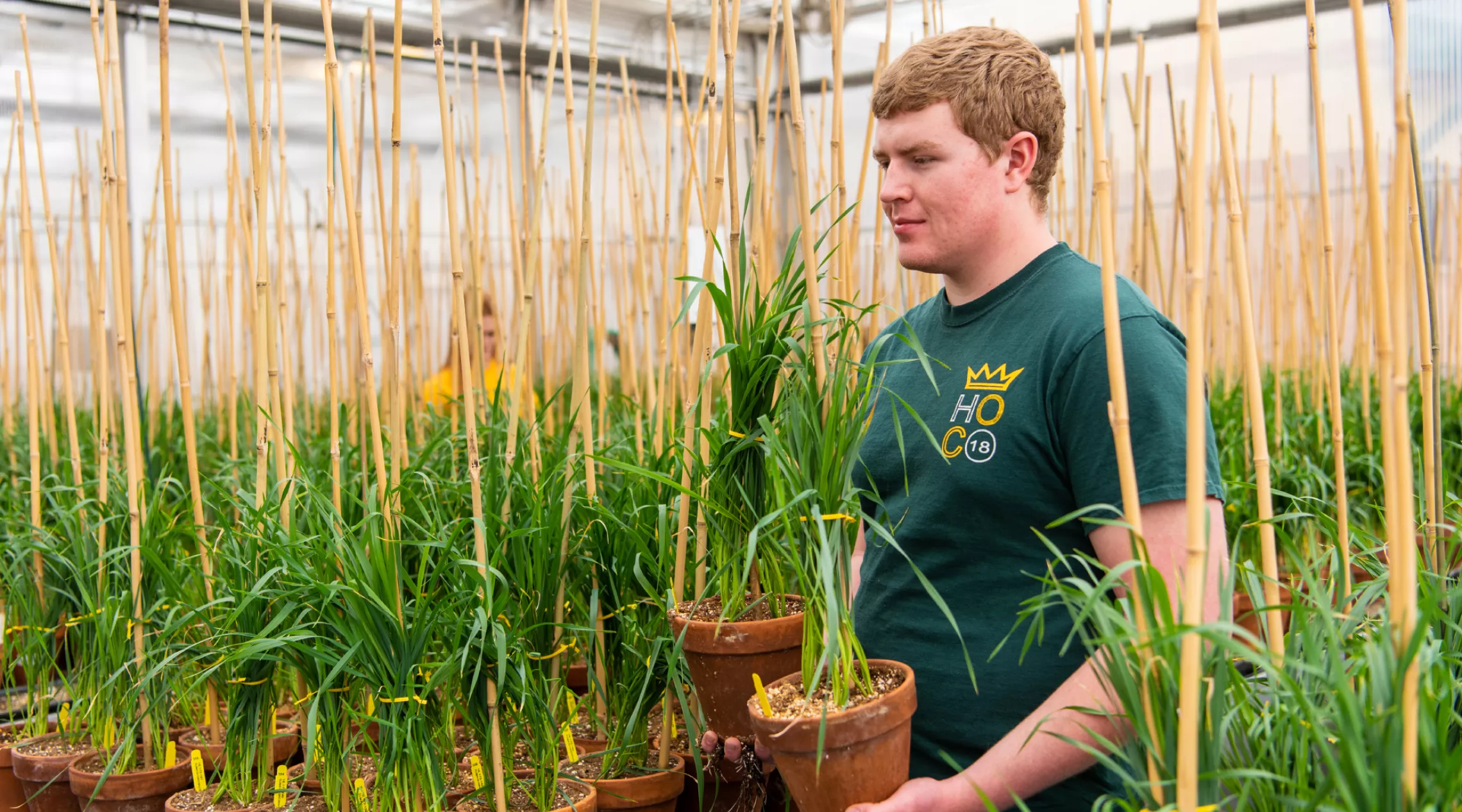 male in greenhouse carrying potted grass