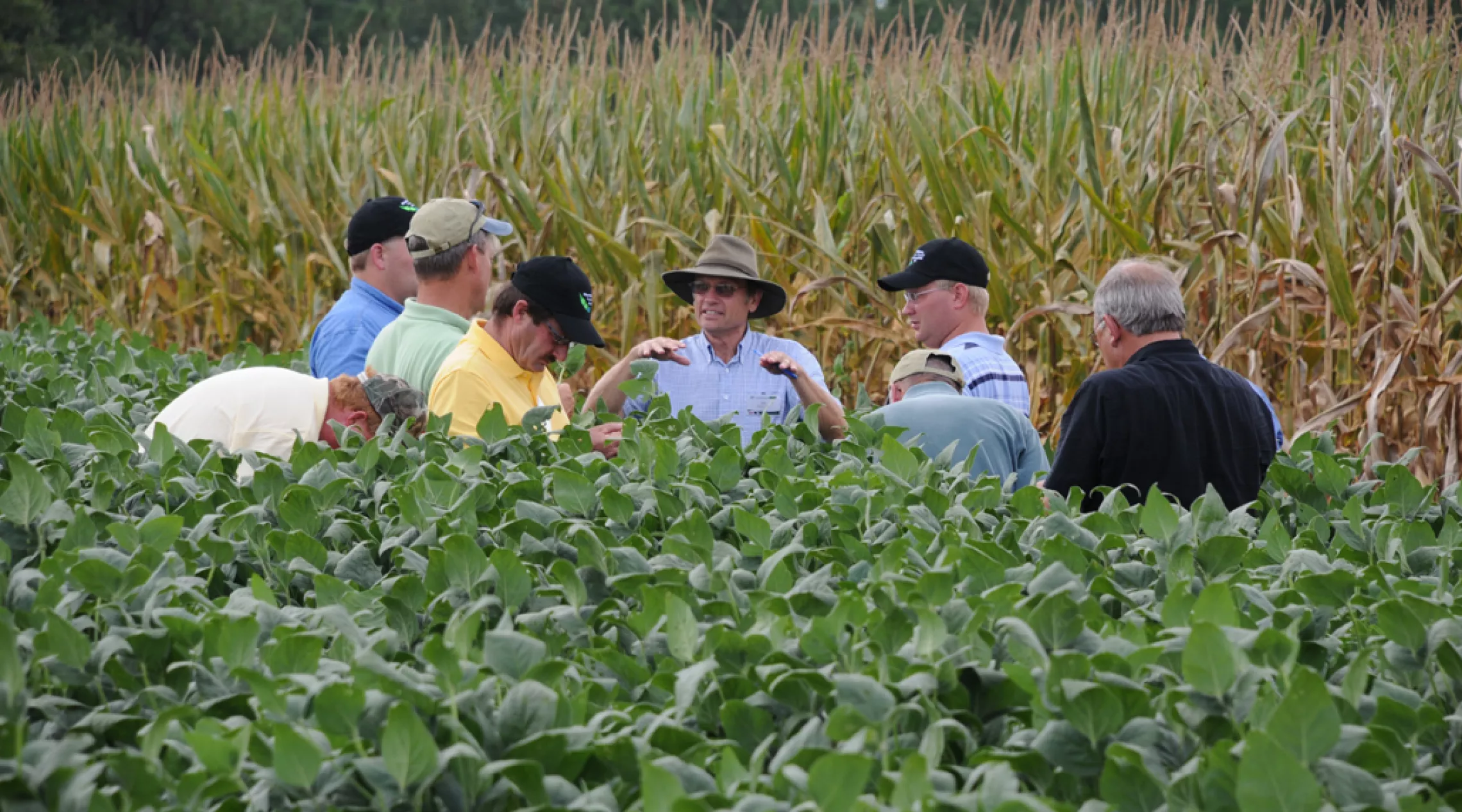 group of men scouting in a field