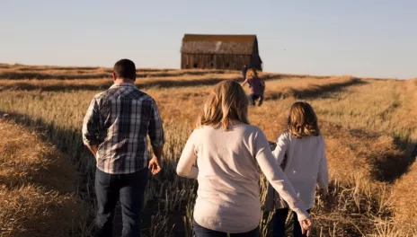 A family wals away from the camera through tall yellow grass toward an old barn with no paint on it. Two of the children can be seen in the distance, closer to the barn, the two parents and another child are closer to the camera.