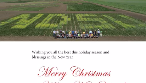 Holiday greeting with several staff members standing in a plot designed to spell NDSU in contrasting crops.