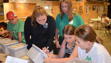 4-H'ers working with NDSU Pharmacy trunks