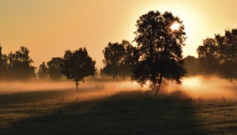 rural landscape at dusk 