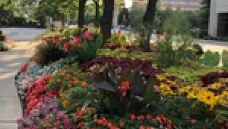 Dakota Gardener Test image