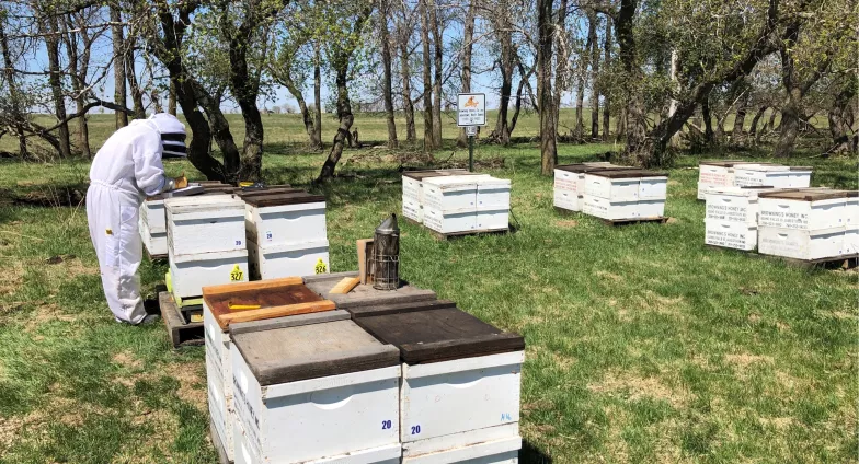 Bee keeper with hives