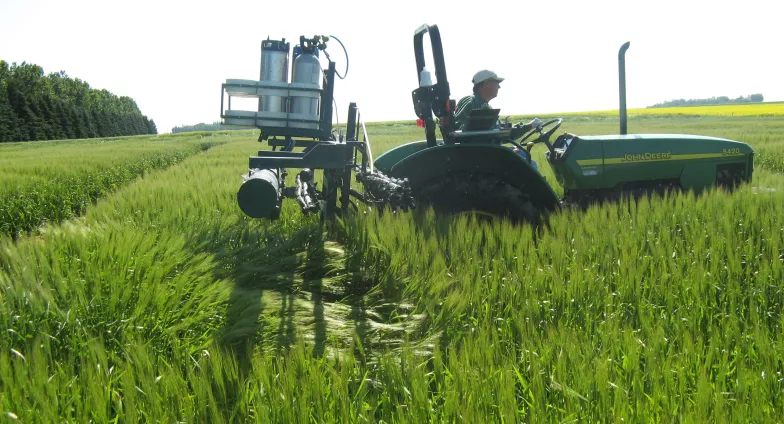 small tractor with sprayer attachment in field of wheat