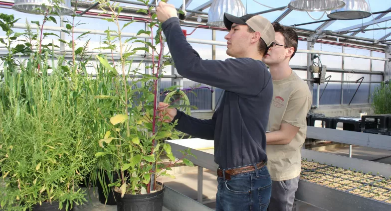 students in greenhouse