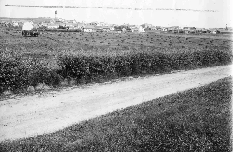 Black & white historical photo of fall harvest at the Hettinger Research Center with a horse and hay wagon and the town of Hettinger in the background