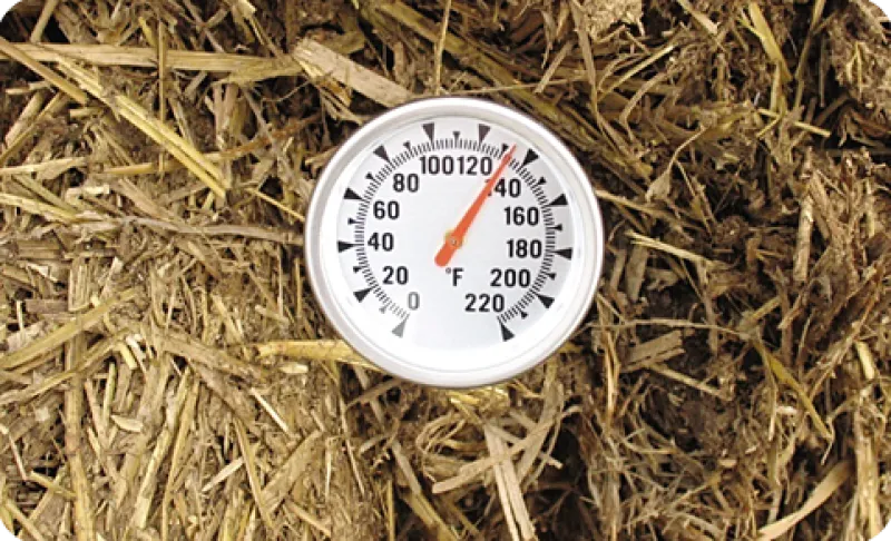 Figure 6. Twenty-four hours after raw straw-bedded feedlot manure was piled in early May, temperatures reached 132°F. (Photo NDSU Carrington Research Extension Center)