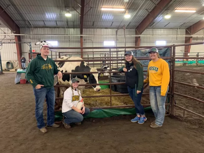 students pose with a dairy cow in a pen