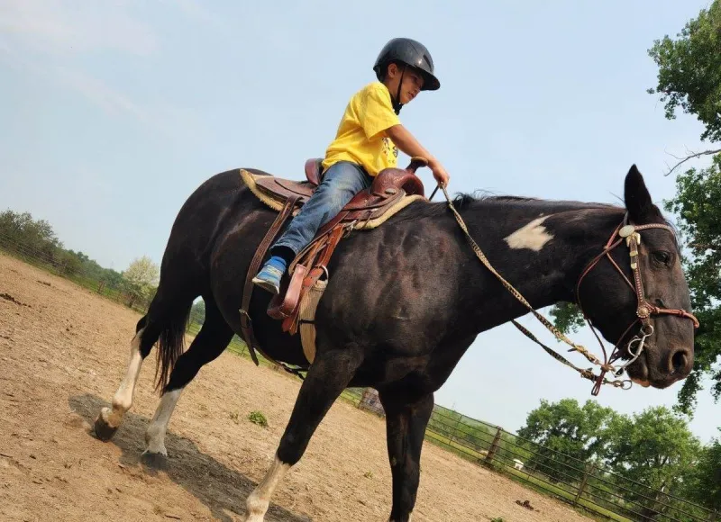 Horse Riding Camp