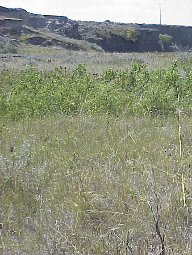 Figure 25