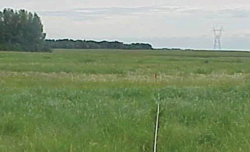 Figure 8
