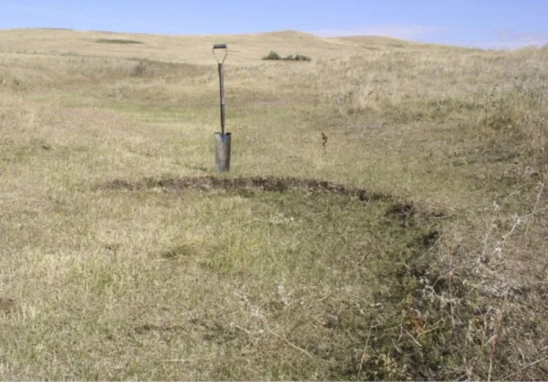 Figure 41