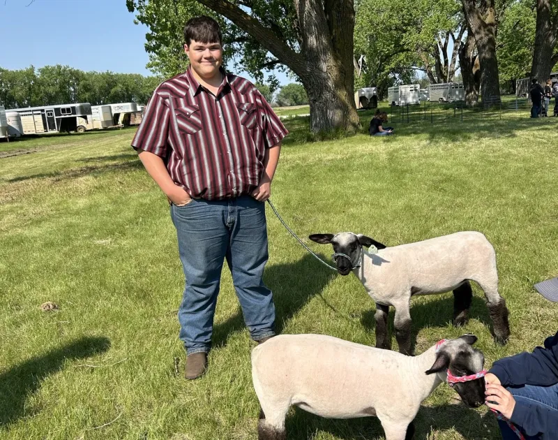 Sheep Camp