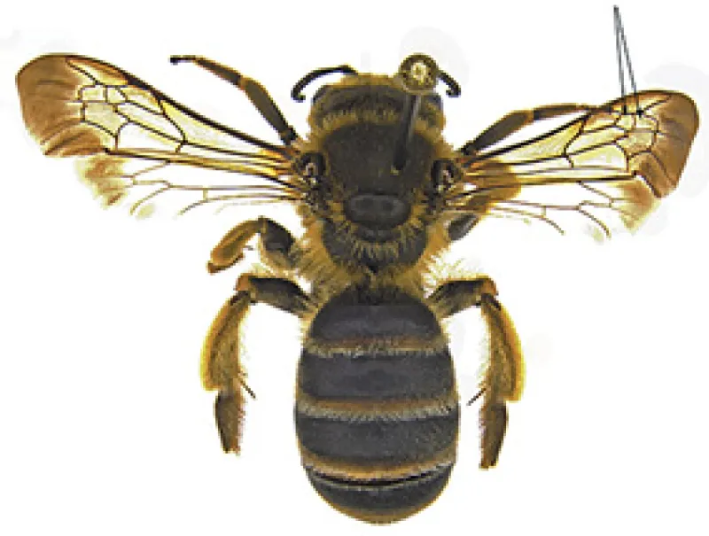 Figure 14b