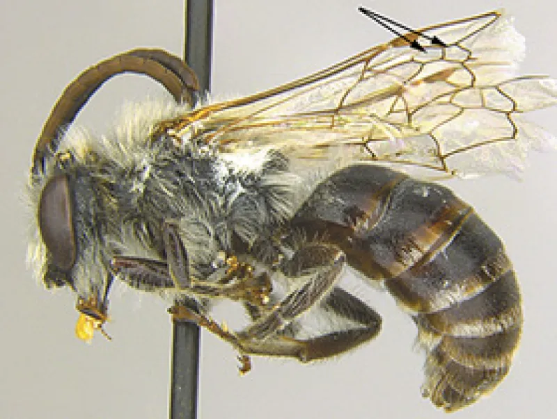 Figure 15