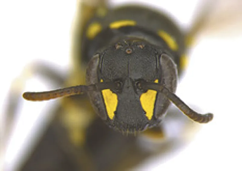 Figure 16b