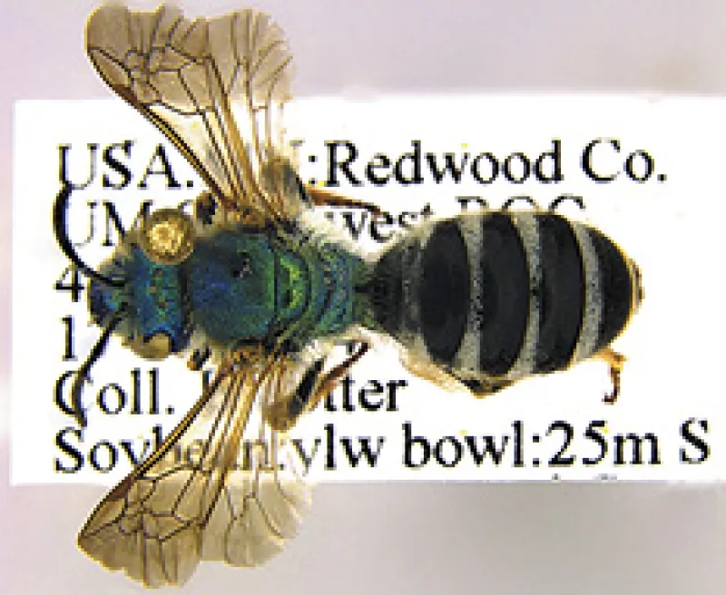 Figure 17b
