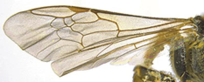 Figure 17d