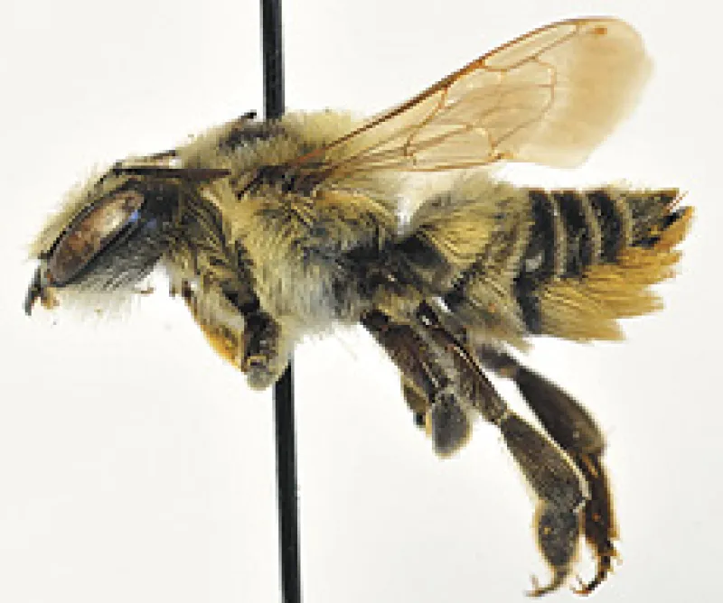 Figure 18a