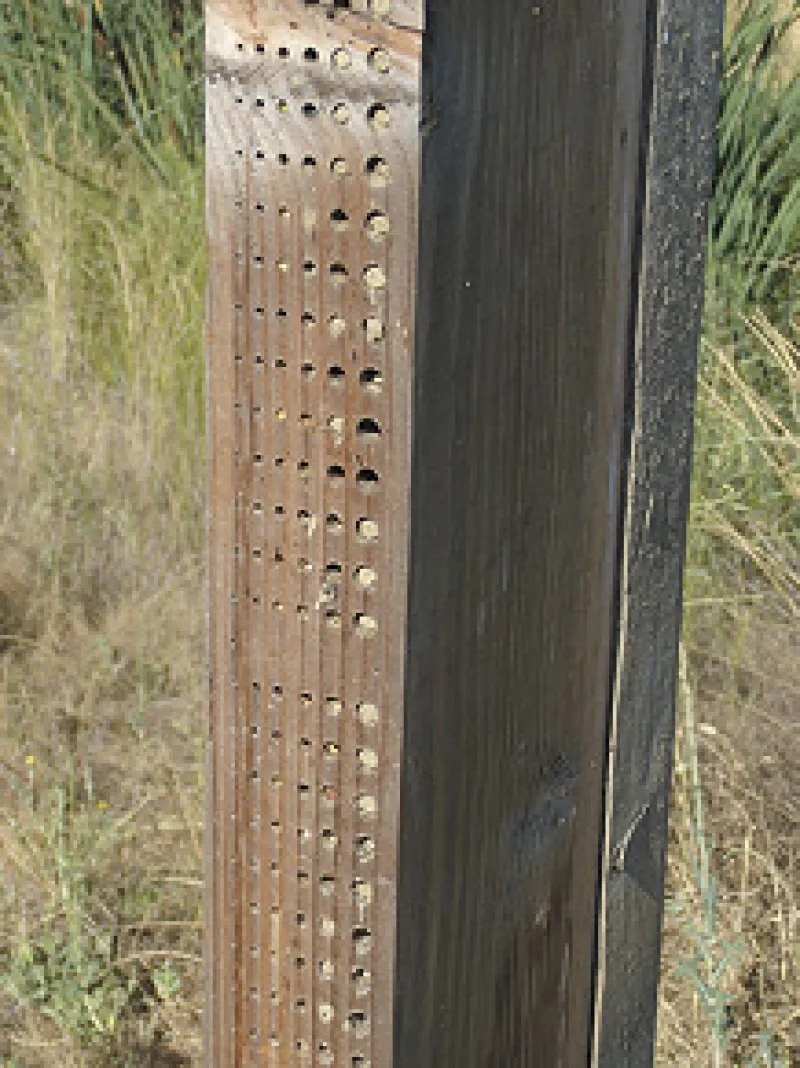 Figure 35