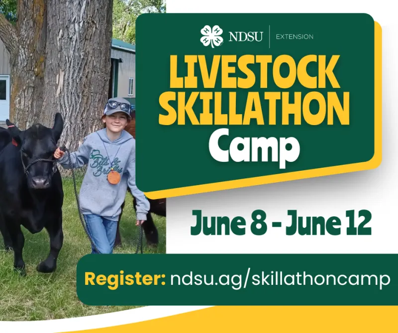 Skillathon Camp 2025