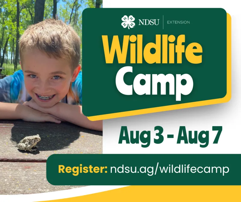 2025 Wildlife Camp