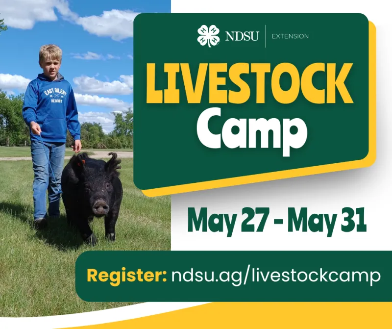 2025 Livestock Camp