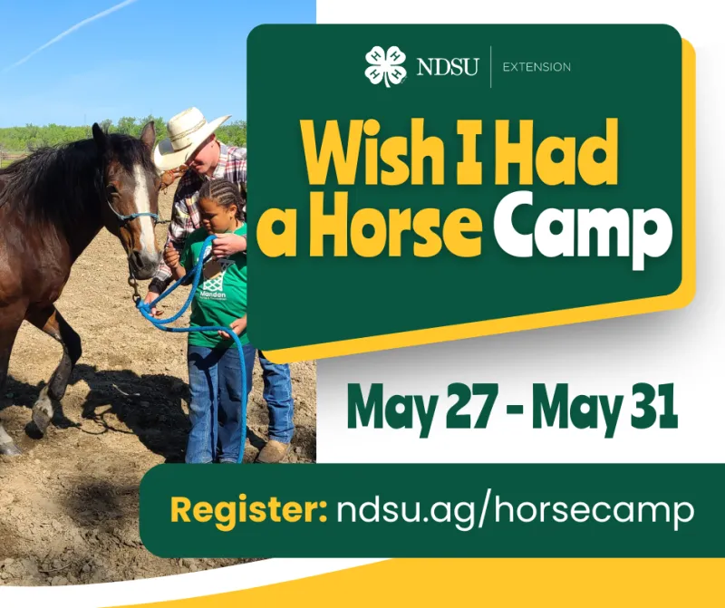 2025 Horse Camp