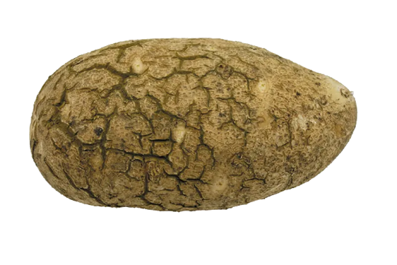 Figure 10