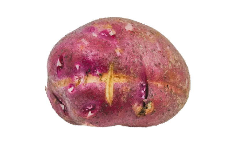 Figure 1a